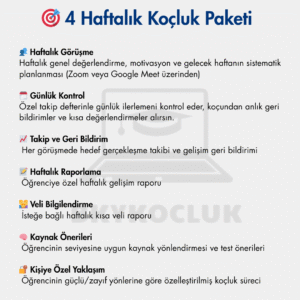 4 Haftalık Koçluk Paketi